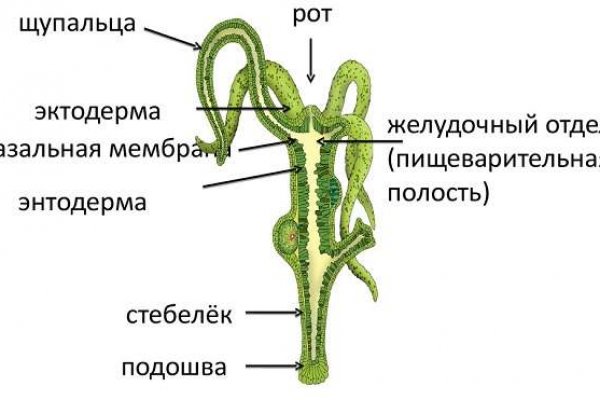 Кракен сайт at