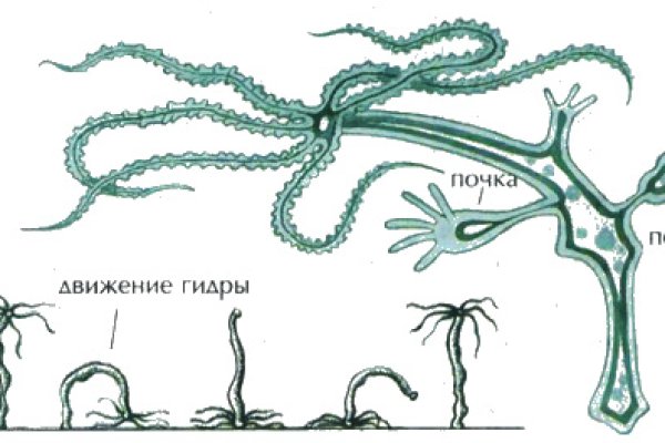 Кракен переход