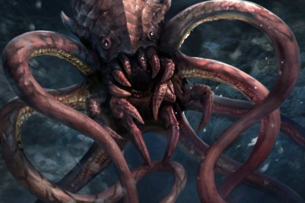 Kraken platform